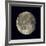 Waning Gibbous Moon-Eckhard Slawik-Framed Photographic Print