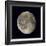 Waning Gibbous Moon-Eckhard Slawik-Framed Photographic Print