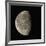 Waning Gibbous Moon-Eckhard Slawik-Framed Photographic Print