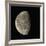 Waning Gibbous Moon-Eckhard Slawik-Framed Photographic Print