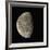 Waning Gibbous Moon-Eckhard Slawik-Framed Photographic Print