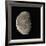 Waning Gibbous Moon-Eckhard Slawik-Framed Photographic Print