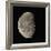 Waning Gibbous Moon-Eckhard Slawik-Framed Photographic Print