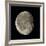 Waning Gibbous Moon-Eckhard Slawik-Framed Photographic Print