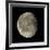 Waning Gibbous Moon-Eckhard Slawik-Framed Photographic Print