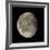 Waning Gibbous Moon-Eckhard Slawik-Framed Photographic Print