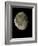 Waning Gibbous Moon-Eckhard Slawik-Framed Photographic Print