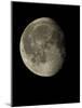 Waning Gibbous Moon-Eckhard Slawik-Mounted Photographic Print