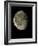 Waning Gibbous Moon-Eckhard Slawik-Framed Photographic Print