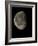 Waning Gibbous Moon-Eckhard Slawik-Framed Photographic Print