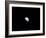 Waning Moon-Stocktrek Images-Framed Photographic Print