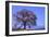 Wanizuka Cherry, Yamanashi Prefecture, Japan. Japan Alps-Bill Tingey-Framed Photographic Print