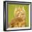 Wanna Love Me Cat-Cora Niele-Framed Giclee Print