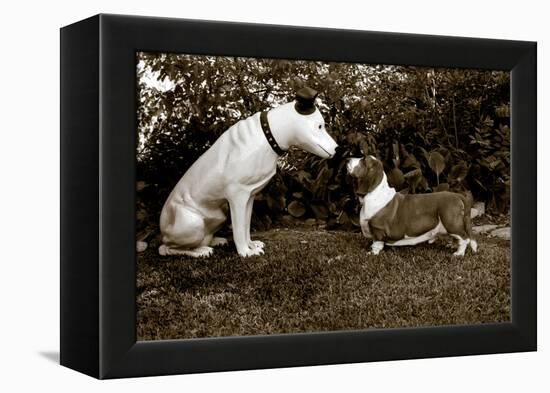 Want to Play-Jim Dratfield-Framed Stretched Canvas