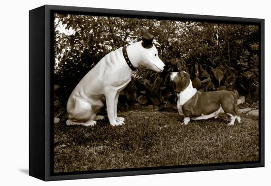 Want to Play-Jim Dratfield-Framed Stretched Canvas