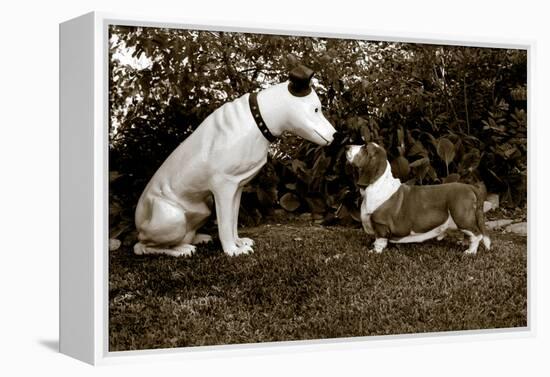 Want to Play-Jim Dratfield-Framed Stretched Canvas