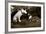 Want to Play-Jim Dratfield-Framed Photo