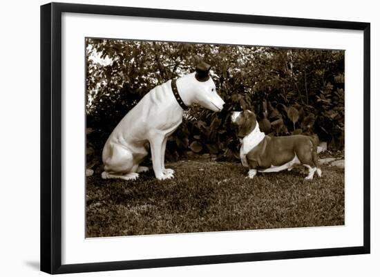 Want to Play-Jim Dratfield-Framed Photo