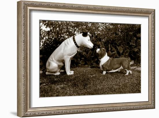 Want to Play-Jim Dratfield-Framed Photo