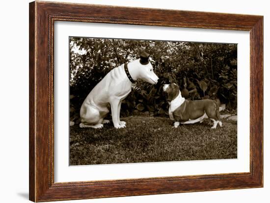 Want to Play-Jim Dratfield-Framed Photo