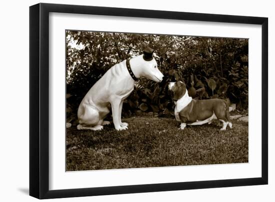 Want to Play-Jim Dratfield-Framed Photo