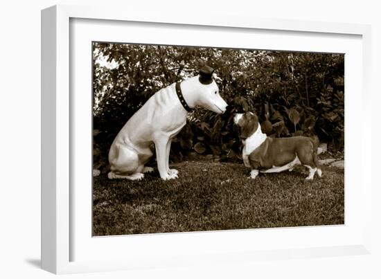 Want to Play-Jim Dratfield-Framed Photo