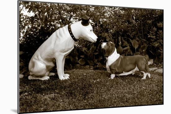 Want to Play-Jim Dratfield-Mounted Photo