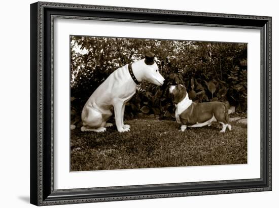 Want to Play-Jim Dratfield-Framed Photo