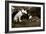 Want to Play-Jim Dratfield-Framed Photo