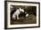 Want to Play-Jim Dratfield-Framed Photo