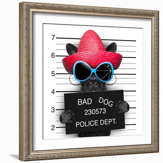 Wanted Dog-Javier Brosch-Framed Photographic Print