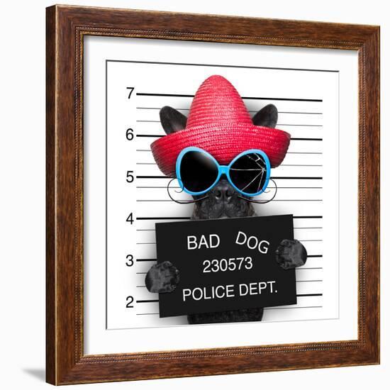 Wanted Dog-Javier Brosch-Framed Photographic Print