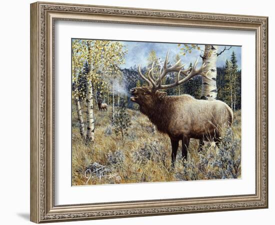 Wapiti-Jeff Tift-Framed Giclee Print