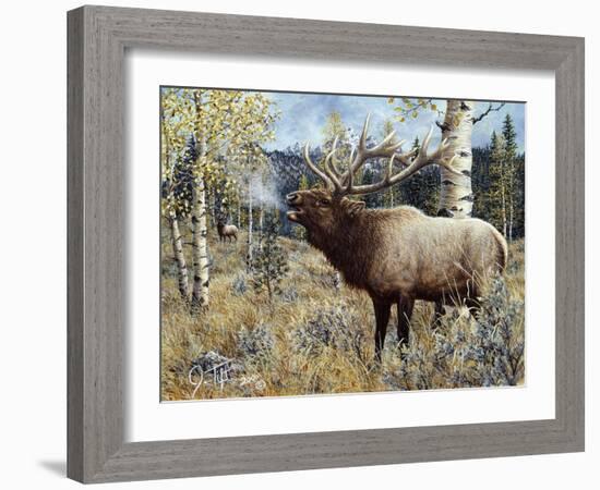 Wapiti-Jeff Tift-Framed Giclee Print