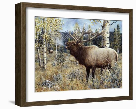 Wapiti-Jeff Tift-Framed Giclee Print