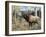 Wapiti-Jeff Tift-Framed Giclee Print