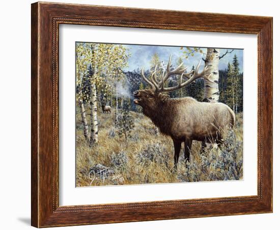 Wapiti-Jeff Tift-Framed Giclee Print