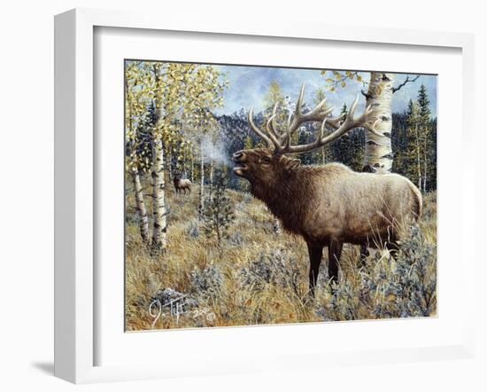 Wapiti-Jeff Tift-Framed Giclee Print