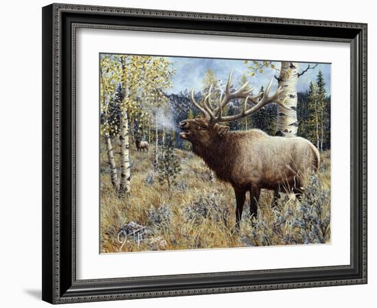 Wapiti-Jeff Tift-Framed Giclee Print