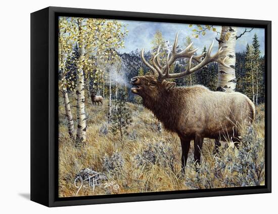 Wapiti-Jeff Tift-Framed Premier Image Canvas