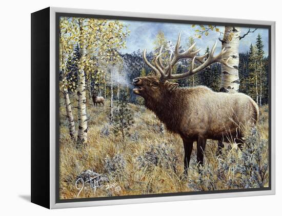 Wapiti-Jeff Tift-Framed Premier Image Canvas