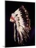 War bonnet of eagle tail feathers, each feather signifying a specific war honour-Werner Forman-Mounted Giclee Print