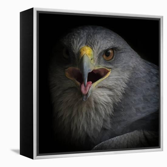 War Cry-Ferdinando Valverde-Framed Premier Image Canvas