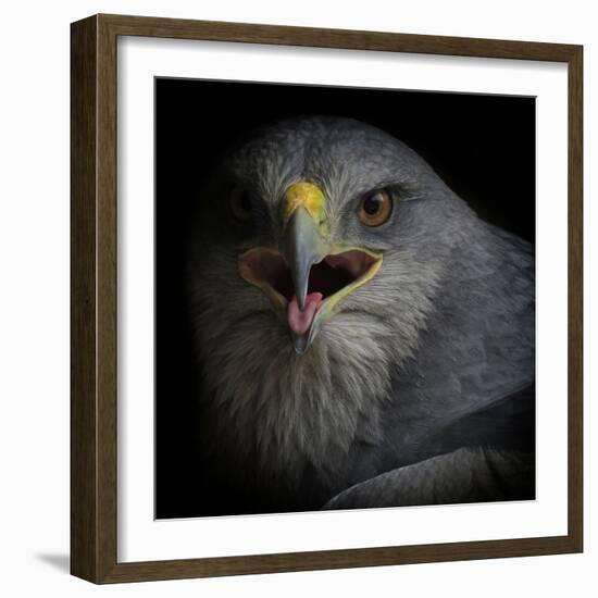 War Cry-Ferdinando Valverde-Framed Photographic Print