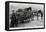 War-Horse Been Taken to Hospital 1915-null-Framed Stretched Canvas
