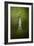 War Monument in Spring-Jai Johnson-Framed Premium Giclee Print