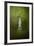 War Monument in Spring-Jai Johnson-Framed Giclee Print