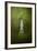 War Monument in Spring-Jai Johnson-Framed Giclee Print