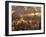 War of the Worlds-Stocktrek Images-Framed Photographic Print