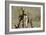 War-Banksy-Framed Giclee Print